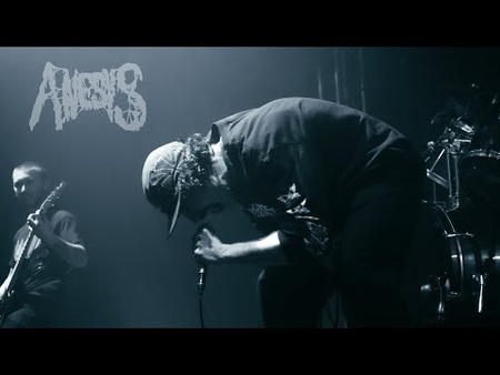 Anesys - Turtle Shell (Live) (Official Video)