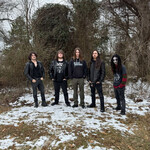 Image band
